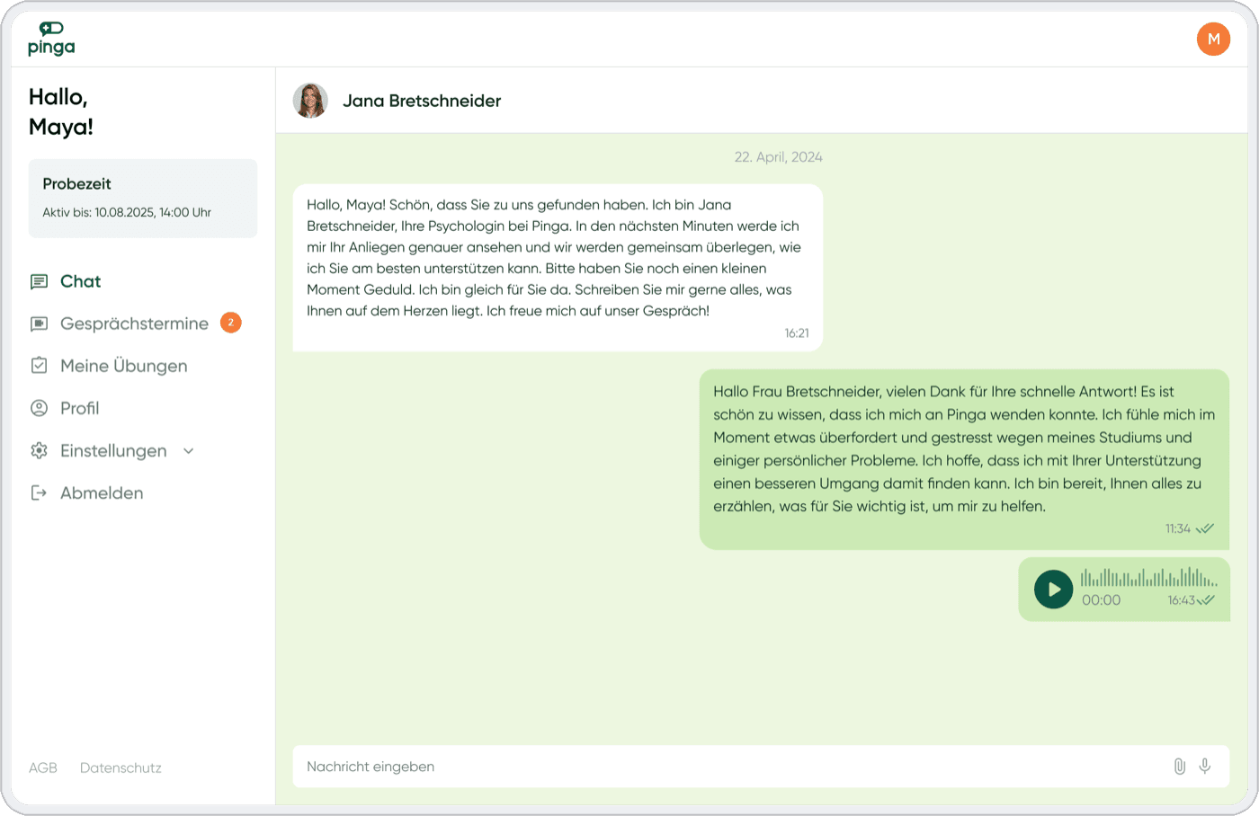 Pinga — patient chat